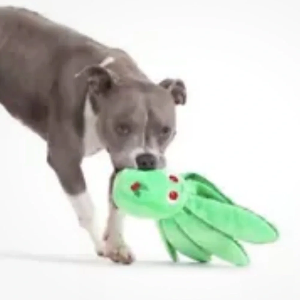 NWT Holly Jolly Ollie dog toy